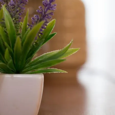 Marnoto's City * 阿威罗