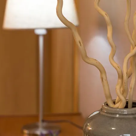 Marnoto's City 公寓 阿威罗