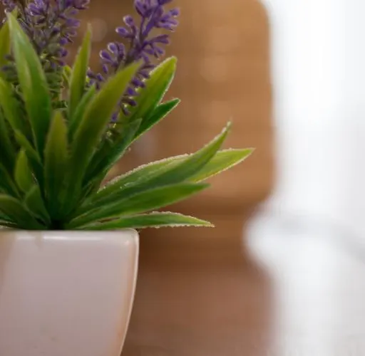 Marnoto's City * Авейру