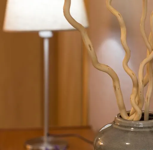 Marnoto's City Апартаменты Авейру