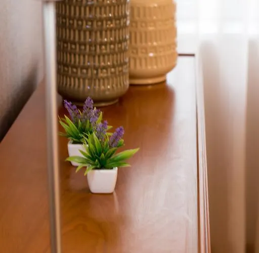 Апартаменты Marnoto's City